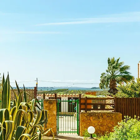 Zenith * Marsala